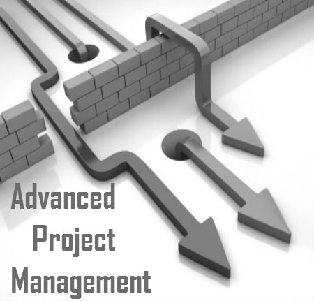 Advanced project management
